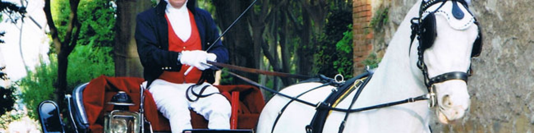  Horse carriage tour of the squares of Rome